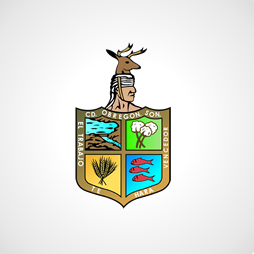 portfolio img