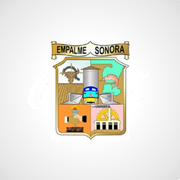 portfolio img
