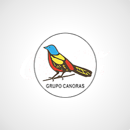 portfolio img